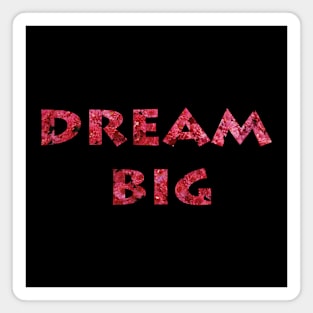 Dream Big Dreams Word Art with Pink Flowers Script Typography Magnet